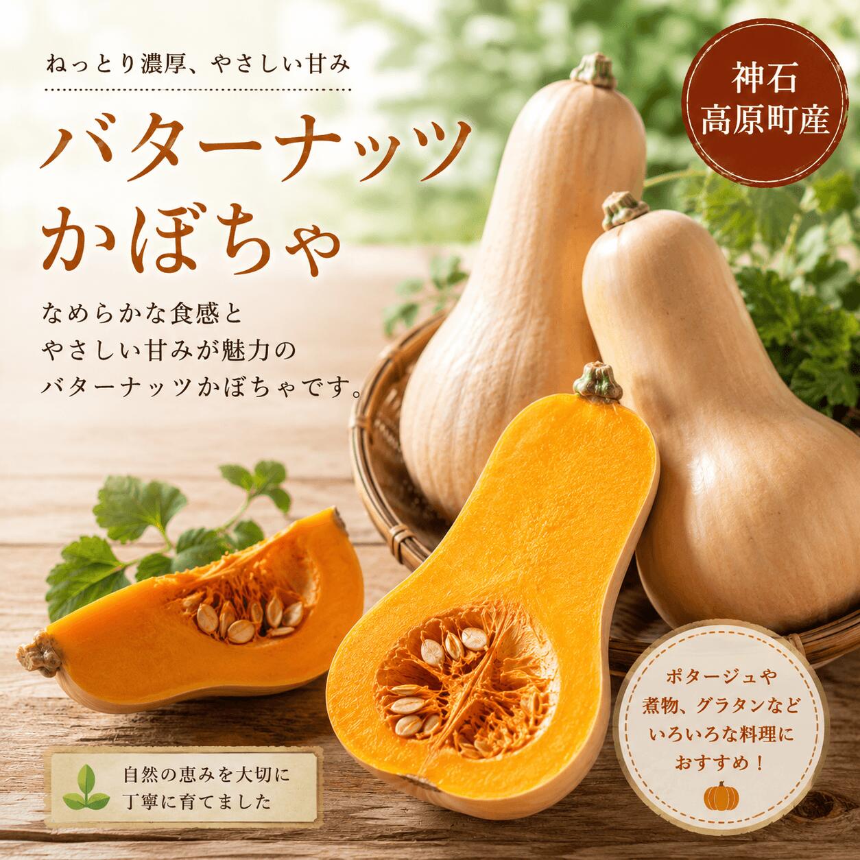 【ふるさと納税】バターナッツかぼちゃ 約4kg 神石高原産 クリーミーで濃厚な味わい 国産かぼちゃ｜中ちゃん農園 広島県 神石高原町 野菜