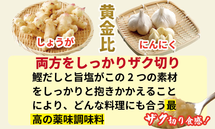 万能 薬味 調味料 「刻んだしょうがとにんにく少々 80g 」（10袋）佐賀の キムチ屋 乃市商店 肉料理 納豆 そうめん の薬味 パスタ ステーキ 焼肉のタレ 馬刺し 地鶏のたたき 冷奴 ほかほかご
