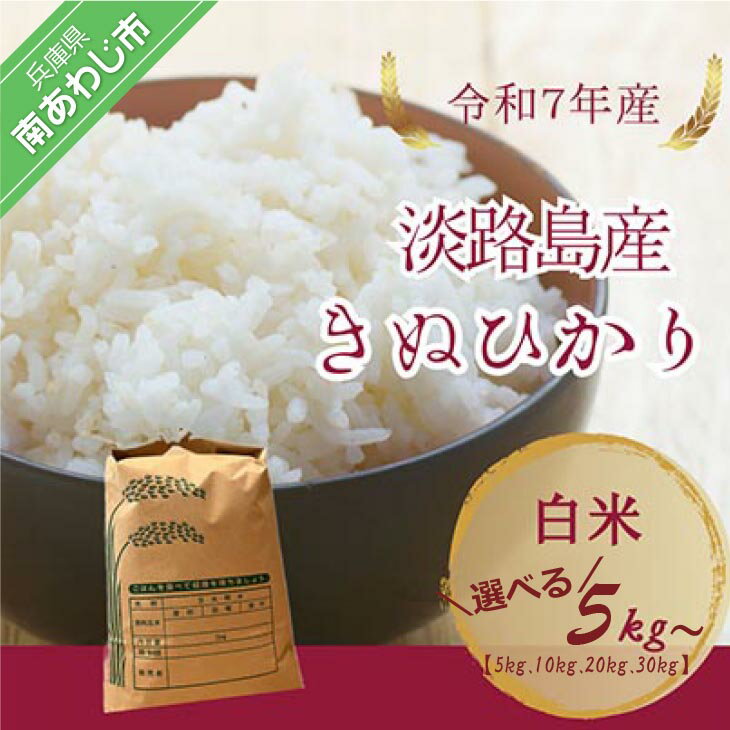 【ふるさと納税】令和7年産新米　淡路島産キヌヒカリ　白米【5kg・10kg・20kg・30kg】