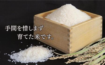 令和6年産　特別栽培米ゆめぴりか　白米5kg ｜ ゆめぴりか ゆめぴりか ゆめぴりか ゆめぴりか ゆめぴりか _00148