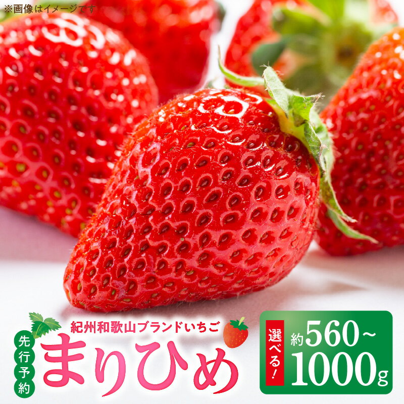 【ふるさと納税】【限定】 紀州 和歌山 ブランド いちご まりひめ 選べる 内容量 約 560~1000g