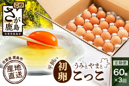 たまご 鶏卵 【定期便】佐賀鹿島産 平飼い初卵「うみとやまとこっこ」 上田養鶏場 たまご60個×3回 卵タマゴ  玉子焼きD-117