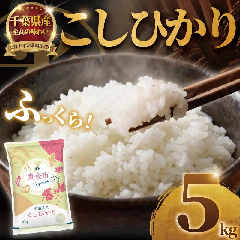 こしひかり 5kg 【コシヒカリ】 令和7年産