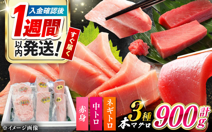 対馬産 本マグロ 3種 計900g（赤身/中トロ/ネギトロ）《対馬市》【対海】 冷凍配送 食べ比べ 贈り物 魚介類 [WAH029]