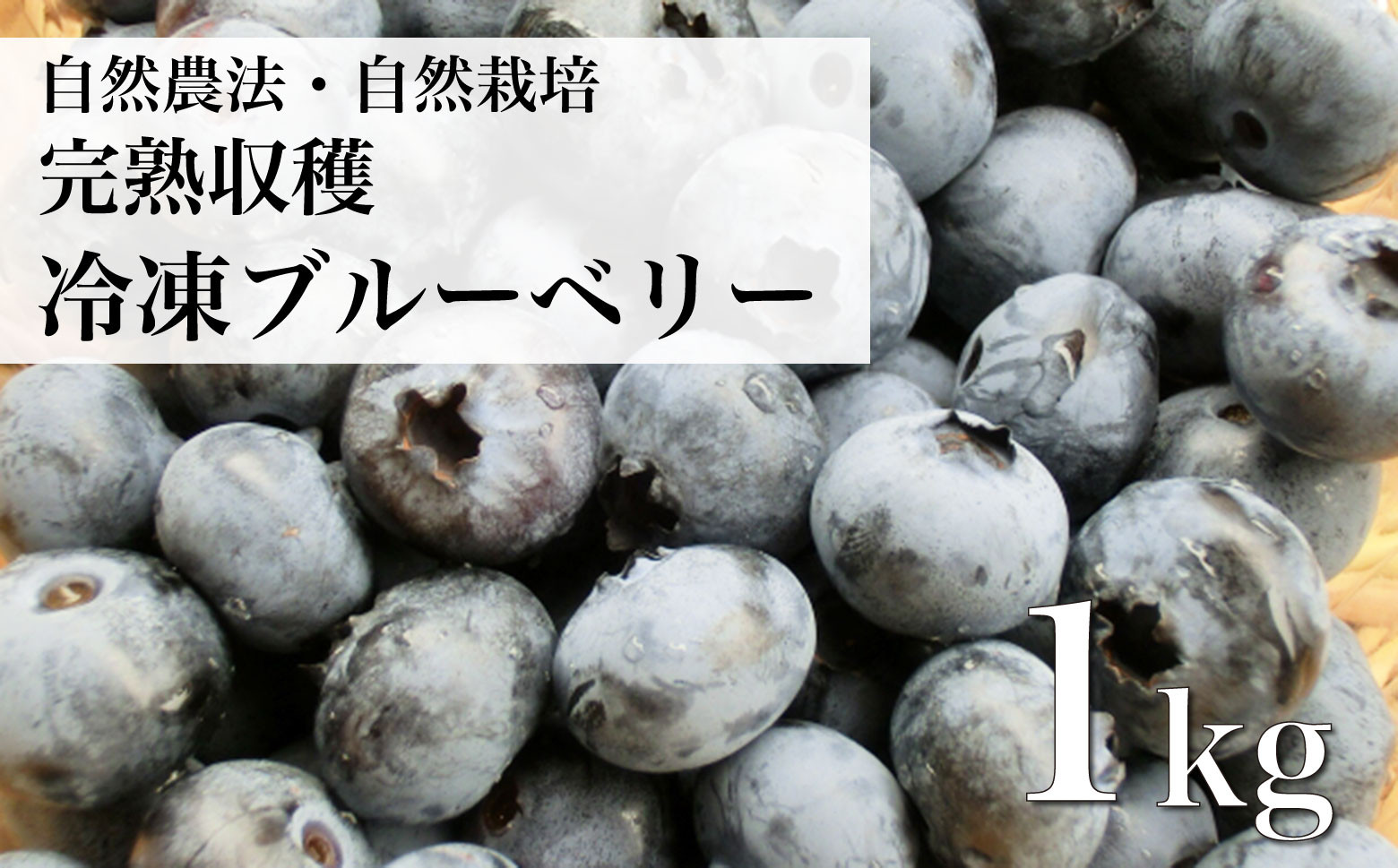 
            自然農法 自然栽培 冷凍 ブルーベリー 1kg 栽培期間中 農薬不使用 農家 直送 遠野もぐもぐカントリー
          