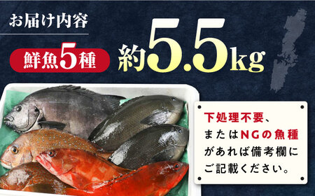 【期間限定！】対馬産 鮮魚 詰め合わせ 5種前後 5.5ｋｇ《対馬市》【対海】新鮮 天然 直送 冷蔵 セット[WAH023]