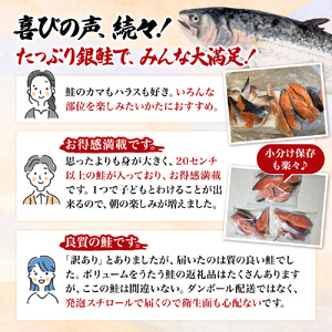 【 3ヶ月 連続 定期便 】訳あり 銀鮭 切り身 1kg セット 詰め合わせ 鮭 サケ