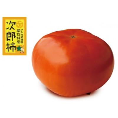 ふるさと納税 豊田市 【先行受付】次郎柿　約3.7kg【2025年11月上旬以降順次発送】