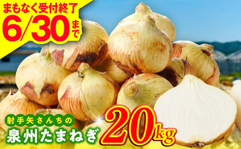 【6月30日受付終了】泉州たまねぎ 20kg 玉ねぎ 射手矢農園【タマネギ 玉葱 甘い 野菜 国産 期間限定 オニオン スライス サラダ カレー シチュー バーベキュー BBQ 肉じゃが 大阪 泉佐野 大阪府 泉佐野市】