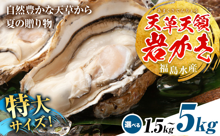
            天領岩牡蠣 約1.5kg 約2.5kg 約5kg 選べる 福島水産《30日以内に出荷予定(土日祝除く)》熊本県 苓北町 牡蠣 かき カキ 岩カキ 岩ガキ 貝 BIG ビッグ 生食 バーベキュー 夏天草 天領 苓北 熊本 旬 シーズン 送料無料【配送不可地域あり】
          