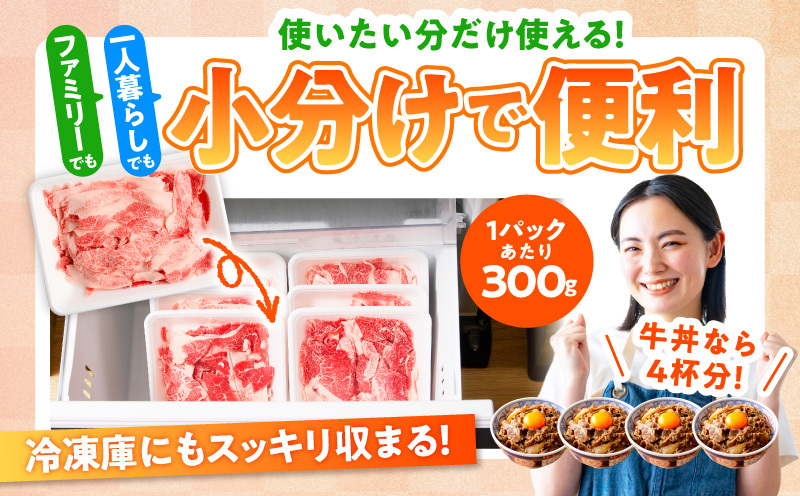 【氷温熟成×極味付け】国産 牛肉 切り落とし 定期便 1.2kg×全6回 総量 7.2kg 丸善味わい加工【毎月配送コース】 099Z215_イメージ4