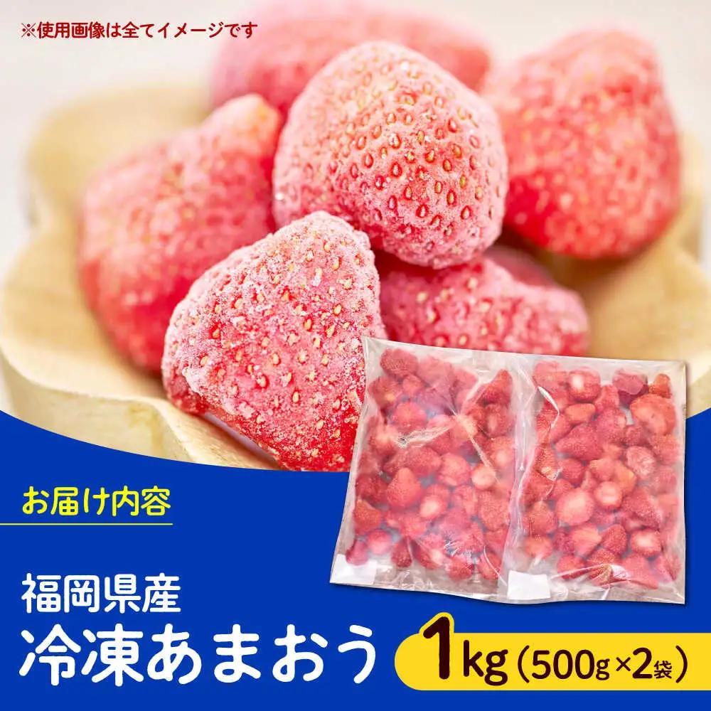 いちご 福岡産 1kg いちご [ABET001] あまおう 果物