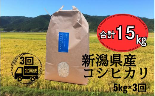 先行予約 令和7年産 新米 【 定期便 3ヶ月 】 米 5kg × 3回 五泉産 コシヒカリ | 白米 精米 こしひかり お米 おこめ コメ こめ おすすめ 人気 新潟県 五泉市 株式会社蛇場農産
