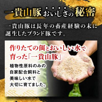 ふるさと納税 糸島市 一貴山豚 アイスバイン 4本セット いきさん牧場 豚肉 骨付き肉 [AGB066] |  | 03