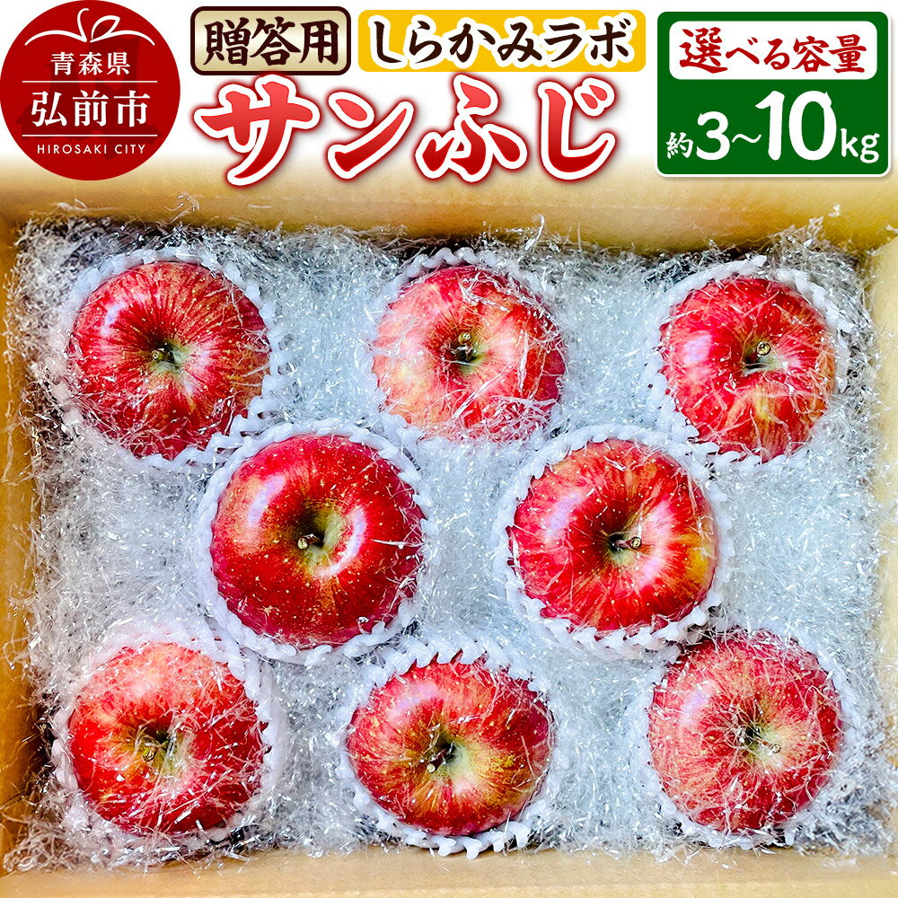 【ふるさと納税】【25年12月〜発送】りんご サンふじ 贈答用【選べる容量】しらかみラボ