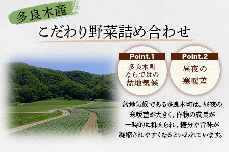 熊本の大地の恵み 旬の こだわり野菜詰め合わせセット 8〜12品 （3〜4名様向け）野菜 獲れたて 新鮮 野菜 セット 詰め合わせ 詰合せ 産地 直送 国産 季節 野菜 家族 ファミリー 多良木町 0