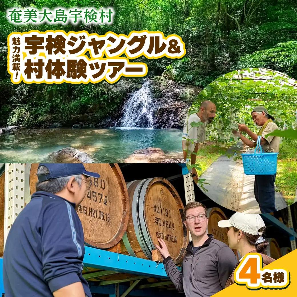 宇検村ジャングル＆村体験ツアー 4名様 奄美大島 宇検村 鹿児島県 旅行 自然 冒険 完全プライベート