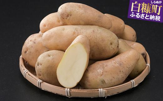 
無農薬じゃがいも（メークイン）【5kg】
