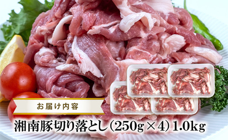【3ヵ月定期便】湘南豚 切り落し 1.0kg 小分け 250g × 4P 3か月 冷凍 豚【神奈川 藤沢】