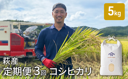 定期便 3か月 コシヒカリ 令和6年 5kg 米 コメ こめ 萩産 KAMITAMA