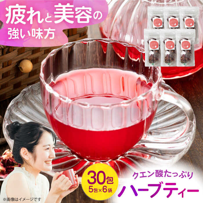 【ふるさと納税】感染症予防、疲労回復、美容の味方！ クエン酸たっぷりハーブティー 大阪府高槻市/NPO法人フェルマータ[AOBA003] 高級 ハーブ リラックス 健康 疲労回復 美容 健康ドリンク 紅茶