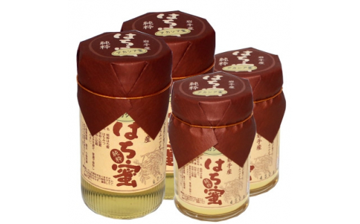 
＜100%軽米町産＞天然ハチミツセット(アカシア蜜の600g2本と450g2本)【1070549】
