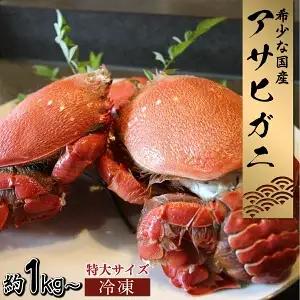 【先行予約】＜2026年11月より順次発送予定＞宮崎県串間市産 特大アサヒガニ1kg_K027-015-01