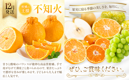プレミアム フルーツ 定期便 5ヶ月連続 秀品 スペシャル 計35.6kg 日本フルーツ株式会社《2025年8月上旬-12月末出荷》熊本県 荒尾市 シャインマスカット おまかせ 梨 早生みかん 温州み