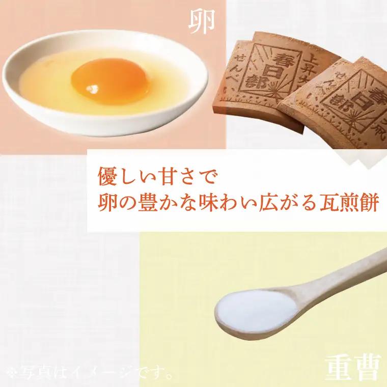 AB001-1 【地元ブランド】上昇大凧せんべい詰合せ