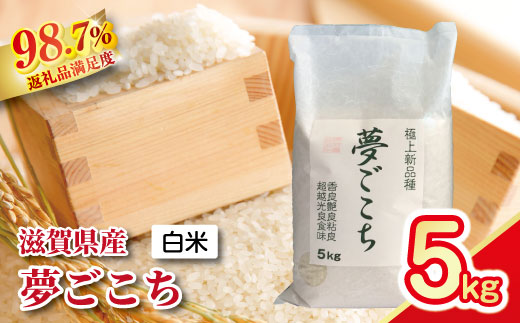 【新米】令和8年産　近江米　夢ごこち5kg【5kg×1袋】【T034W5】（滋賀県　近江八幡市）