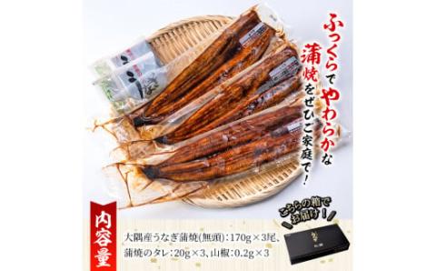 【土用の丑の日対応7/7入金まで】大隅特産うなぎ蒲焼３尾（510ｇ）【国産】