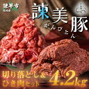 【ふるさと納税】諫美豚切り落としひき肉セット計4.2kg / 豚 豚肉 切り落とし ひき肉 小分け / 諫早市 / 株式会社土井農場 [AHAD059]