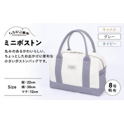 ふるさと納税 栃木市 【いちひこ帆布】 ミニボストン/グレー