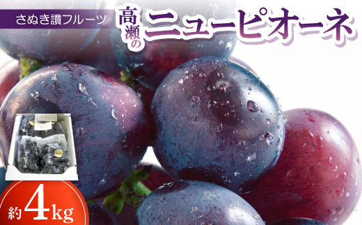 
                  さぬき讃フルーツ「高瀬のニューピオーネ」約4kg ＜令和8年7～10月発送＞【1609807】
                