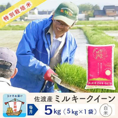 ふるさと納税 佐渡市 【毎月定期便】佐渡島産ミルキークイーン 精米5kg 特別栽培米全3回