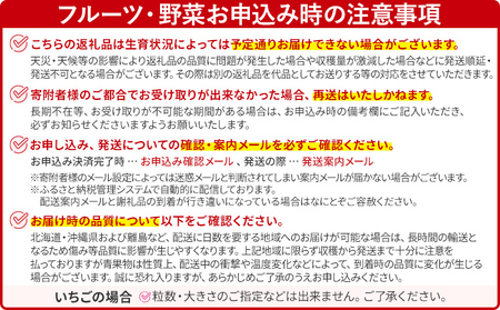 先行予約 期間限定 巨峰 ぶどう 約2kg（4～6房） 農家直送 樹上完熟 完熟 果汁 ブドウ 葡萄 果物 フルーツ 甘い ジューシー 福岡県 福岡 九州 グルメ お取り寄せ 【8月中旬頃より順次出荷