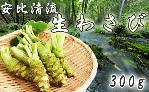 
岩手県産 生わさび 300g 【安比清流山葵園】 ／ 山葵 ワサビ 薬味 産地直送 新鮮
