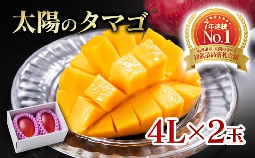 【6月発送】最高級ブランド『太陽のタマゴ』4Lサイズ2個入り【糖度15度以上】宮崎県西都市産完熟マンゴー＜5-16＞宮崎完熟マンゴー 果物 フルーツ 甘い【先行予約】