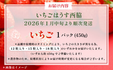 【先行予約】【数量限定100セット】　いちご　1パック 約450g　【いちごはうす西脇】[AKHO001]