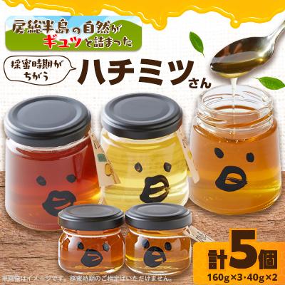 ふるさと納税 いすみ市 いすみ市の『ハチミツさん』160g×3個、40gx2個セット