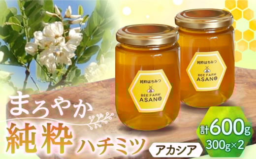純粋ハチミツ アカシア 300g×2 瑞浪市 / honey shop Bee farm asano 蜂蜜 はちみつ [AZBT001]