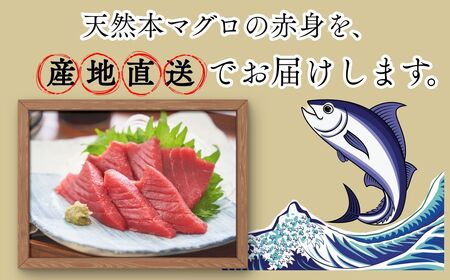 本マグロ 赤身 1柵 国産 本鮪[fu-0027-004]