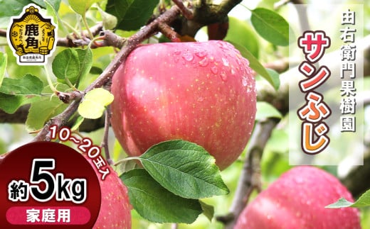 【2026年1月中旬発送】由右衛門果樹園 りんご  家庭用「サンふじ」約5kg（10～20玉）【由右衛門果樹園】