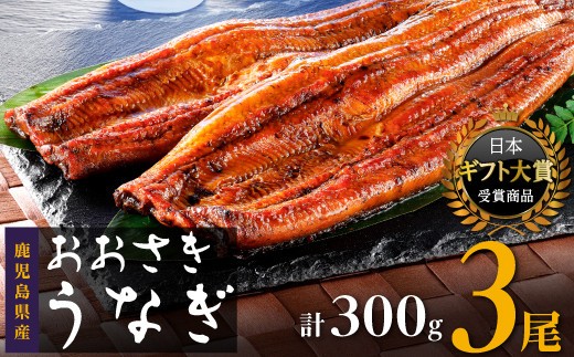 【数量限定】鹿児島県産うなぎ長蒲焼3尾　 (合計300g以上)　鰻 国産うなぎ蒲焼き たれ うな重 ひつまぶし ウナギ 蒲焼 人気 おすすめ ふるさと納税 鹿児島県 大崎町 A911