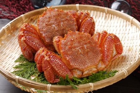 【北海道根室産】浜ゆで毛がに600～700g×2尾 D-05003