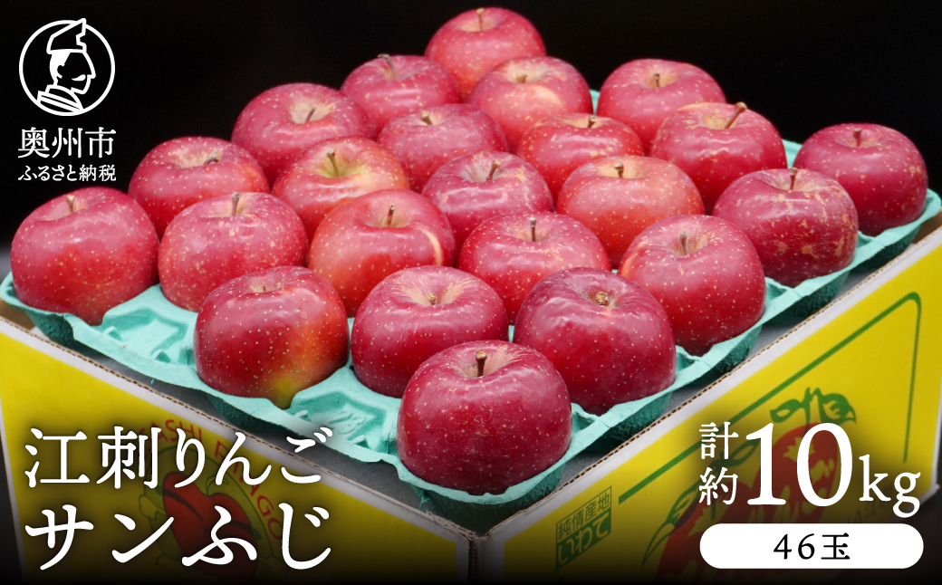 江刺りんご サンふじ 約10kg(46玉) [AQ028]