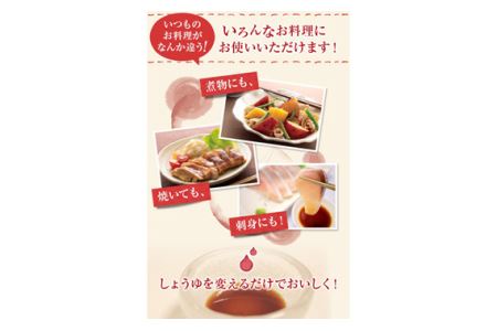 No.163 おいしいしょうゆ 900ml 12本セット