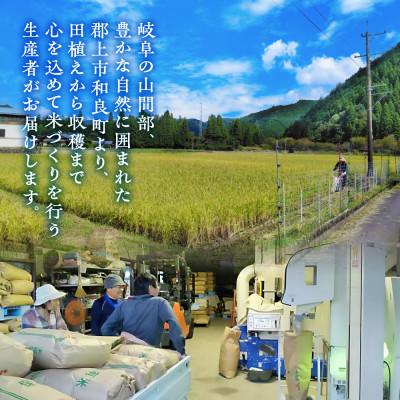 ふるさと納税 郡上市 令和7年産 郡上産こしひかり 5kg |  | 03