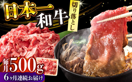 【全6回定期便】【A4～A5】長崎和牛切り落とし　500g【株式会社 MEAT PLUS】[DBS051]