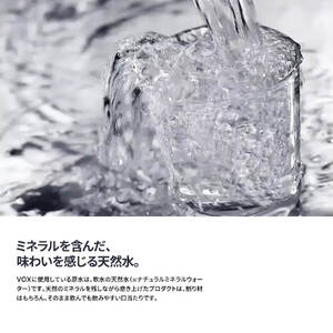 【3か月定期便】炭酸水 大容量 1000ml 15本 強炭酸水 VOX 強炭酸 ストレート バナジウム 炭酸 炭酸飲料 無糖炭酸水